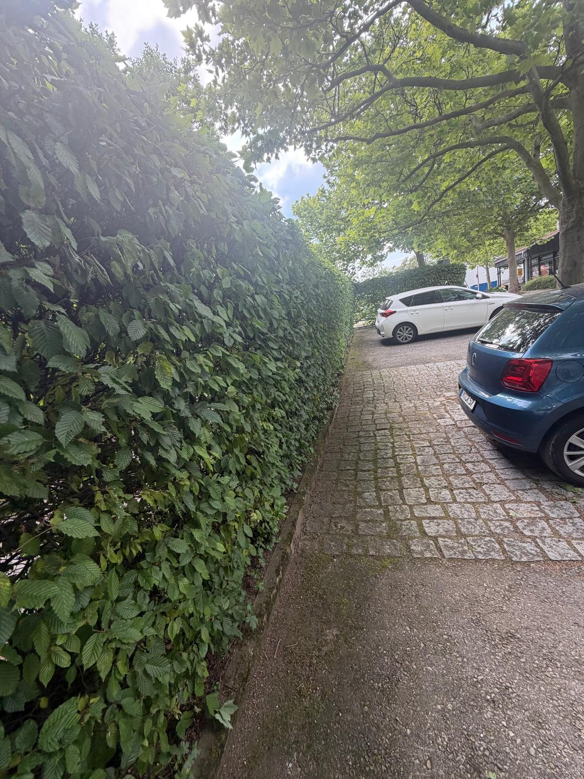 Gepflegte Hecke und Außenanlage durch Isufi Hausmeisterdinst